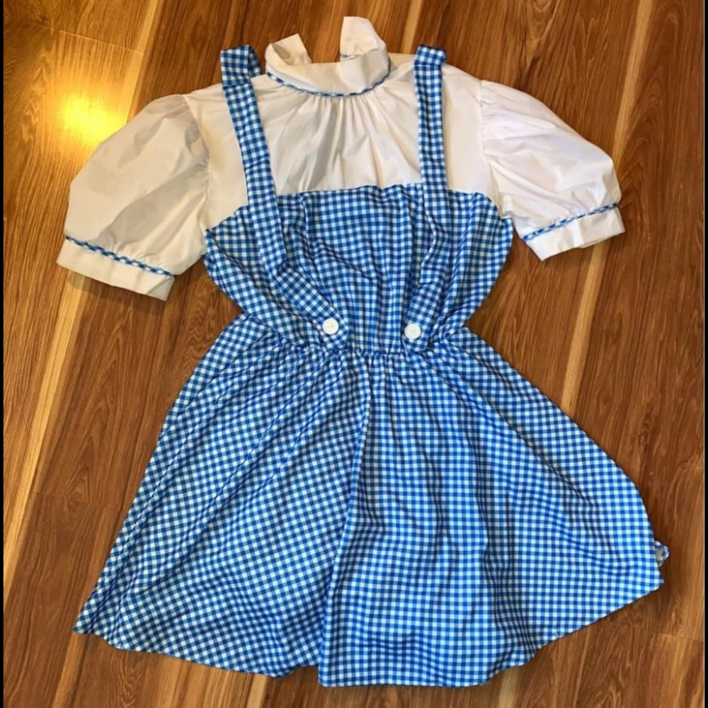 Wizard of Oz Dorothy costume